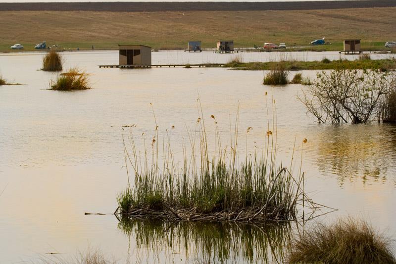 Chiroiu4 /Green Lake - mg7362.jpg